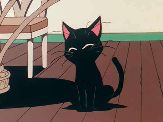Bilder Von Schwarzen Katzen Anime