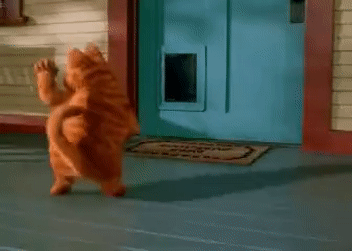 dancing-cat-5