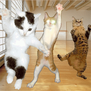 dancing-cat-50