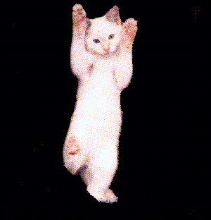 dancing-cat-65