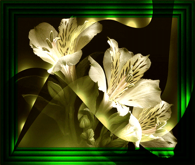 lilies-26