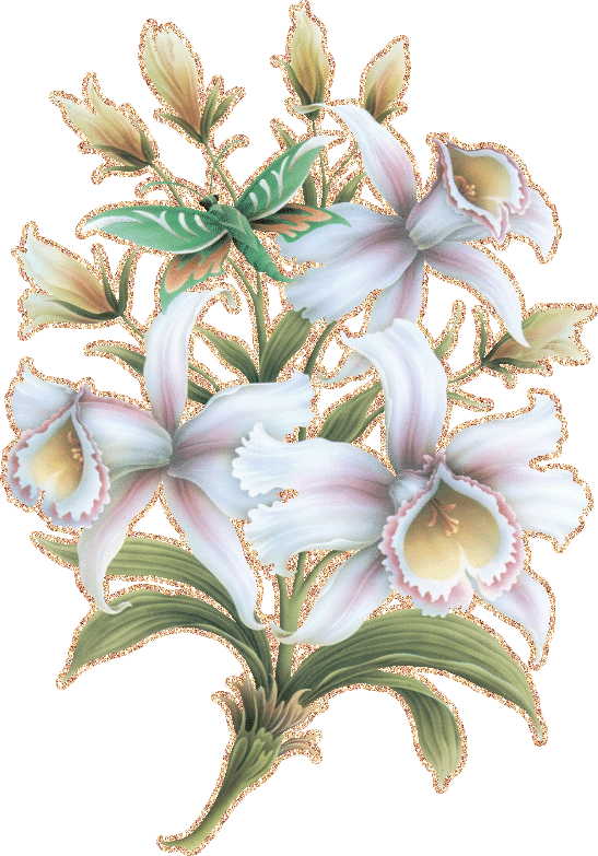 lilies-66