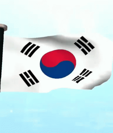 south-korea-flag-21