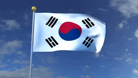 south-korea-flag-5