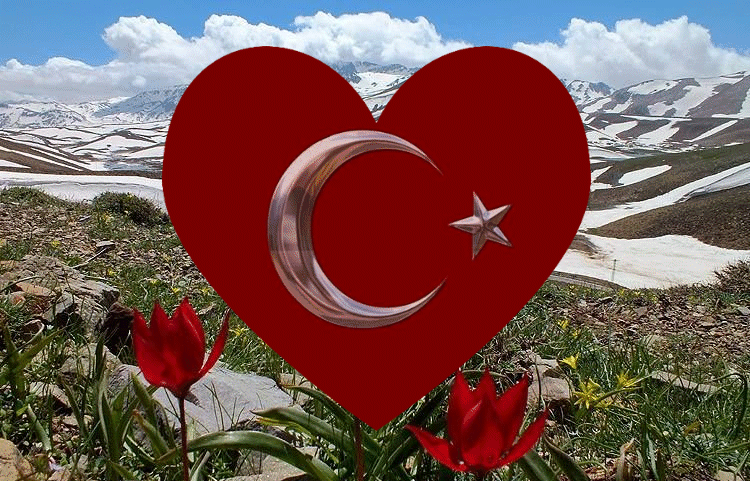 turkish-flag-12