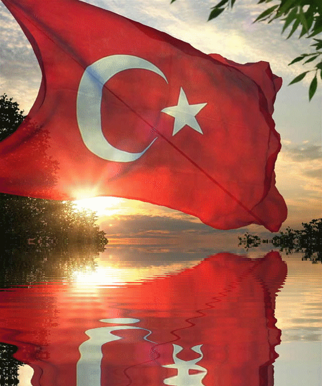 turkish-flag-25