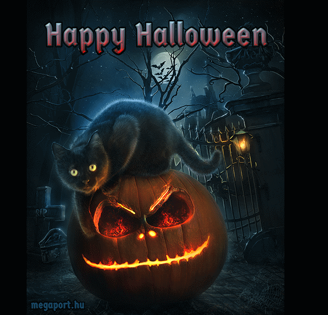 Le GIF che rappresentano Halloween, oltre 100 immagini animate gratuite