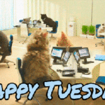 Happy Tuesday GIFs - 123 Funny Animated Pics with Wishes