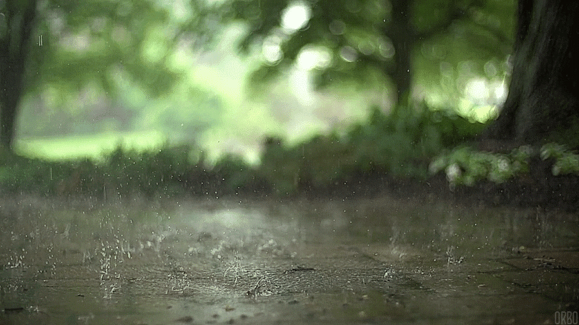 rainy 10